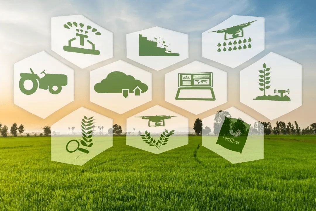 Optimized Farm Management
